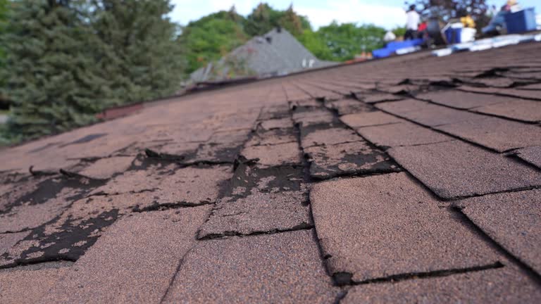 Best Rubber Roofing (EPDM, TPO)  in Gholson, TX